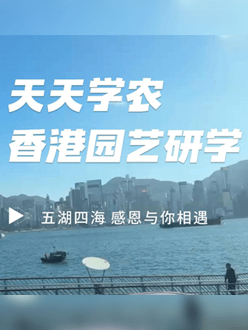 与香港园艺学会联合举办香港园艺研学，专业园境师带队讲解。