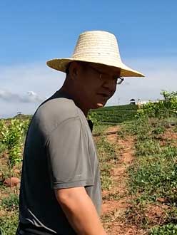 农业人叶涛，50多岁通讯人跨界搞农业，他要用1000万打造一个梦。